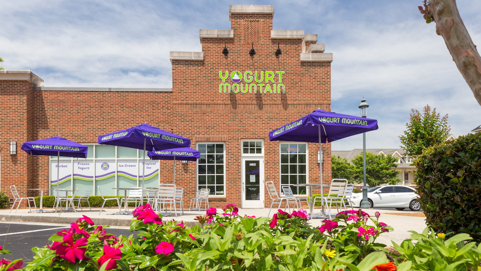 Yogurt Mtn Photo
